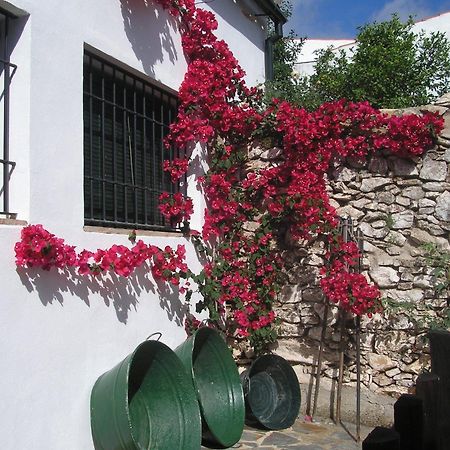 Penzion Casa Rural Y Restaurante Casa Adriano Alanís Exteriér fotografie