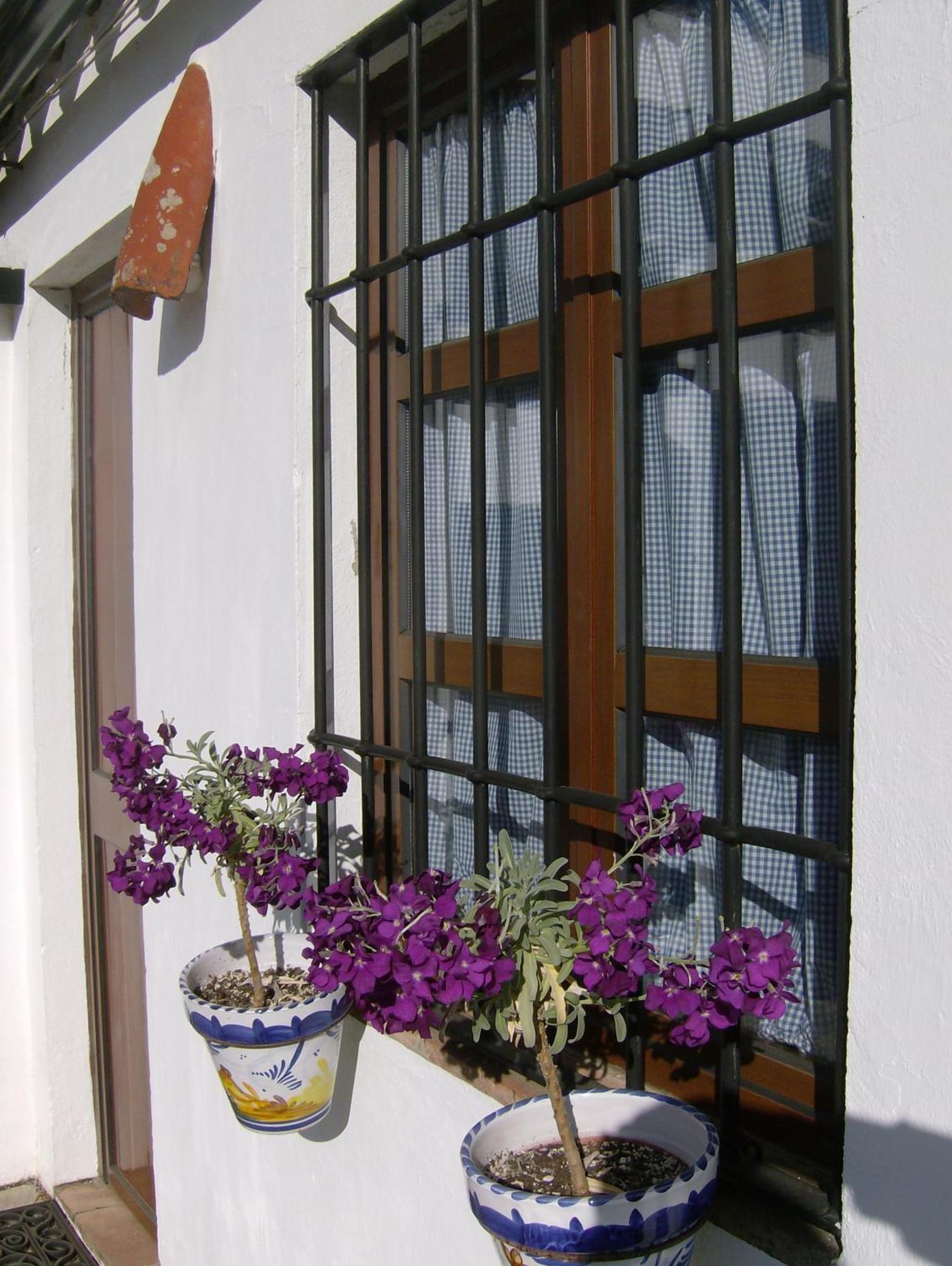 Penzion Casa Rural Y Restaurante Casa Adriano Alanís Exteriér fotografie
