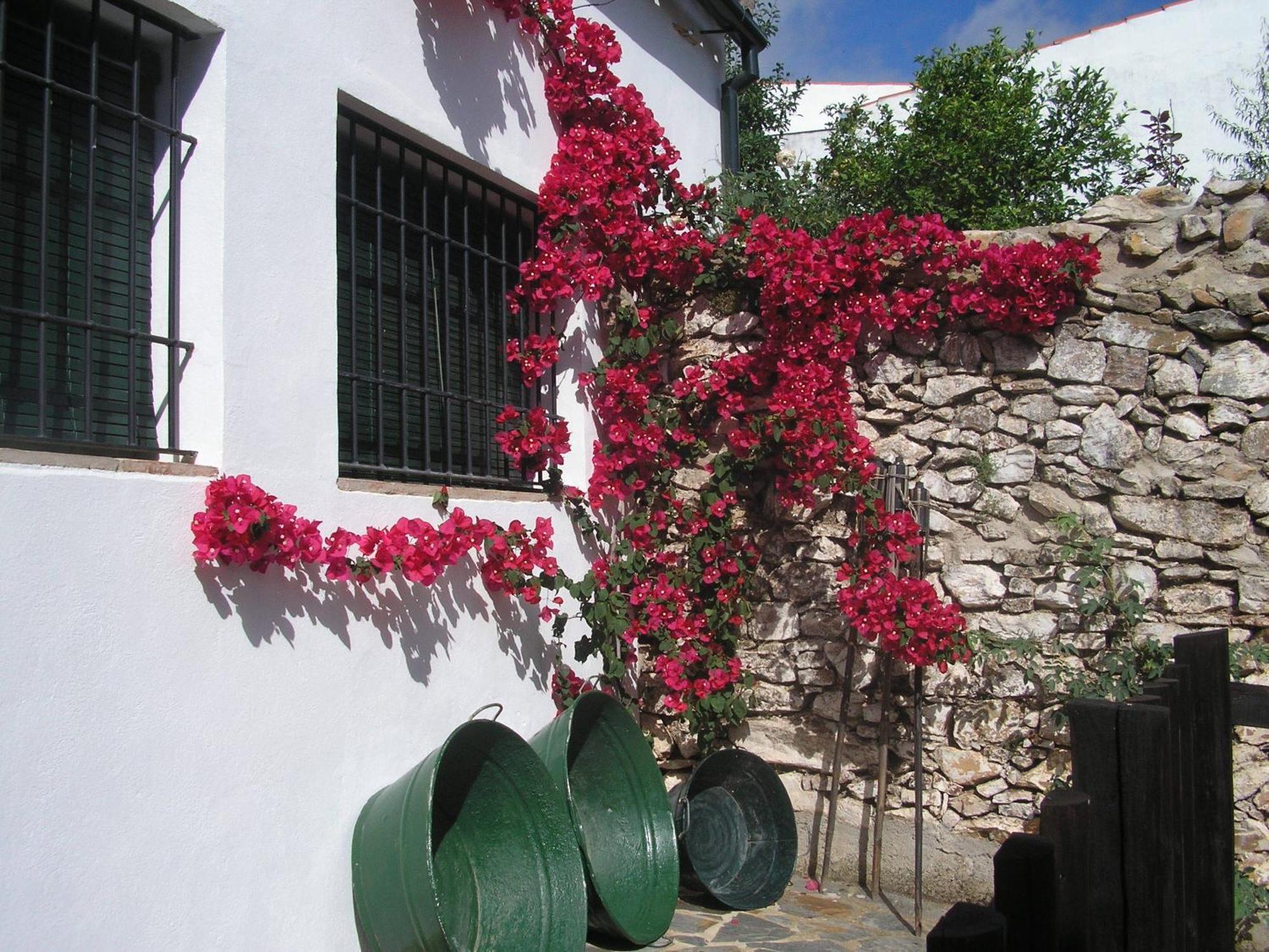 Penzion Casa Rural Y Restaurante Casa Adriano Alanís Exteriér fotografie